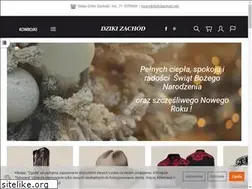 Sites similar to dzikizachod.net