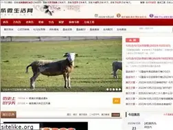 Sites similar to dzzsk.com