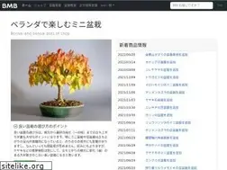Sites similar to e-bonsai.org