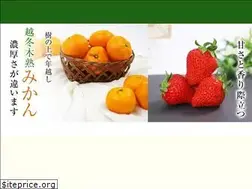 Sites similar to e-fruits.jp