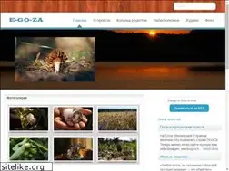 Sites similar to e-go-za.ru