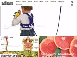Sites similar to e-kutuphane.com.tr