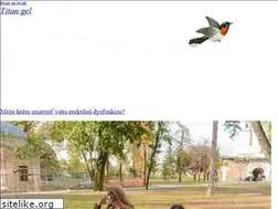Sites similar to e-nakupovanie.sk