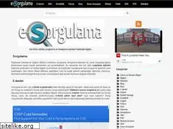 Sites similar to e-sorgulama.com