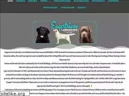 Sites similar to eagertrieve.com