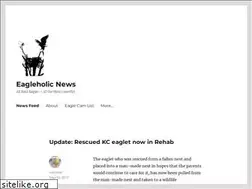 Sites similar to eagleholic.wordpress.com