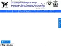 Sites similar to eaglesflying.com