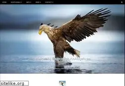 Sites similar to eaglewatch.nl