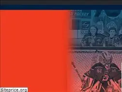 Sites similar to eastonhockey.org
