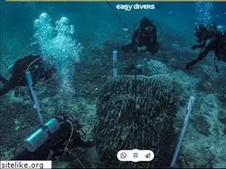 Sites similar to easy-divers.eu