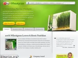 Sites similar to easy-wheatgrass.com