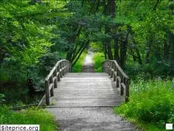 Sites similar to easywaystoeasestress.com