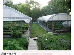 Sites similar to easywildflowers.com