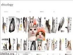 Sites similar to ebicology.work