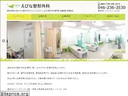 Sites similar to ebina-seikei.jp