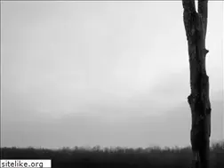 Sites similar to ebphotography.com