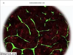 Sites similar to ebrahimkhanilab.com