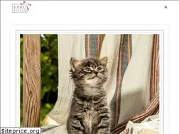 Sites similar to ebrubazaar.com