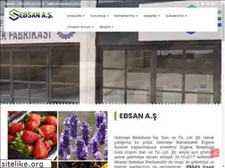 Sites similar to ebsan.com.tr