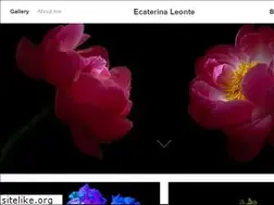 Sites similar to ecaterinaleonte.com