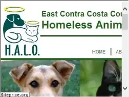 Sites similar to eccchalo.org