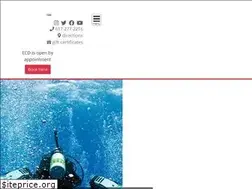 Sites similar to ecdivers.com