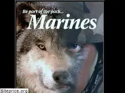 Sites similar to echo23marines6569.org