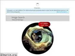 Sites similar to echocardia.com