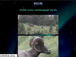 Sites similar to ecjones.org