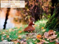 Sites similar to ecoartesanias.com