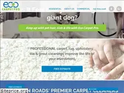Sites similar to ecocarpetpro.com