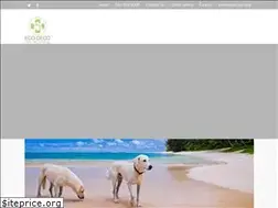 Sites similar to ecodecopethospital.com