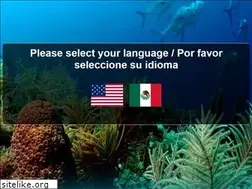 Sites similar to ecodiverscozumel.com