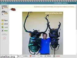 Sites similar to ecofauna.com