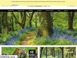 Sites similar to ecofriendly.cards