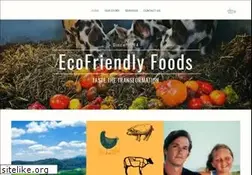 Sites similar to ecofriendly.com