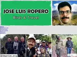 Sites similar to ecojugando.wordpress.com