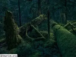 Sites similar to ecologicalreflections.com