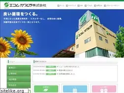 Sites similar to ecomkawamura.co.jp