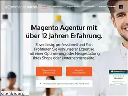 Sites similar to ecommercebrains.com