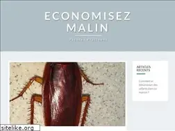 Sites similar to economisezmalin.com