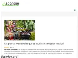 Sites similar to econora.com