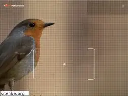 Sites similar to ecoperiodismo.es
