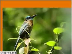 Sites similar to ecotourism.ca