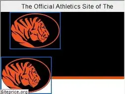 Sites similar to ecutigers.com