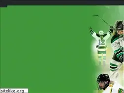Sites similar to edinahockeyassociation.com