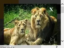 Sites similar to edinburghzoo.org.uk
