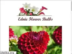 Sites similar to ednieflowerbulb.com