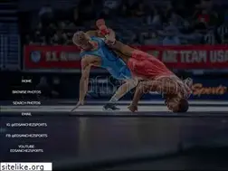 Sites similar to edsanchezsports.com