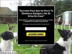 Sites similar to educarperros.com